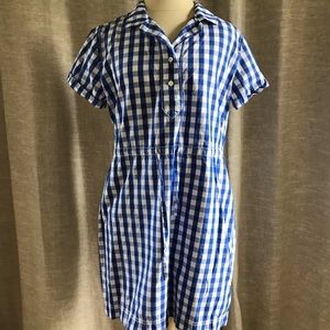 J. Crew Blue Gingham Shirt Dress with pockets